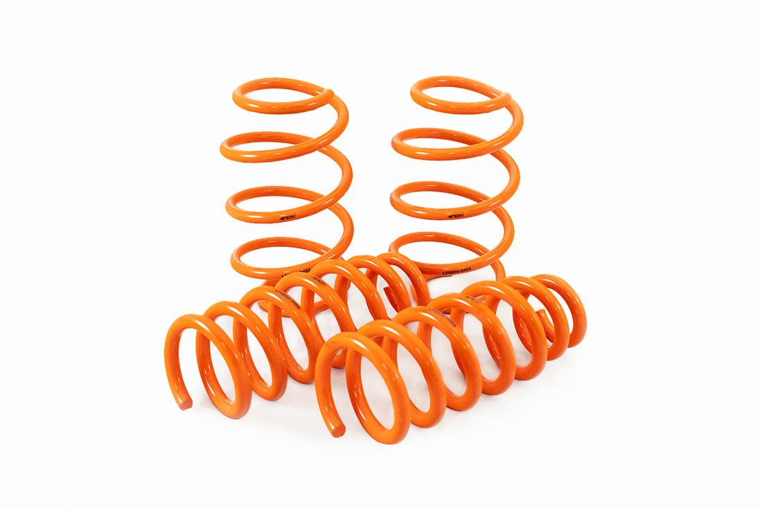 ARK GT-F Lowering Springs Actual Product. Part Number is LF0806-0422