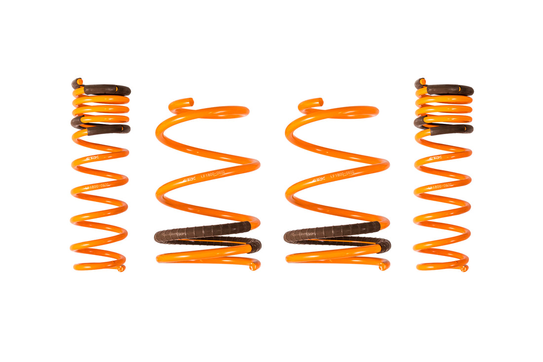2008-2016 Mitsubishi EVO X GT-F Lowering Springs - ARK Performance