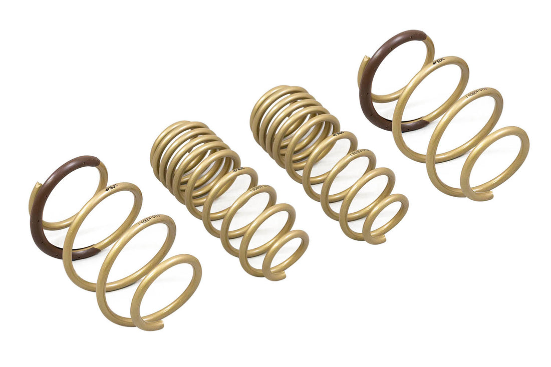 2016-2021 Honda Civic Hatchback | Coupe | Sedan GT-S Lowering Springs - ARK Performance