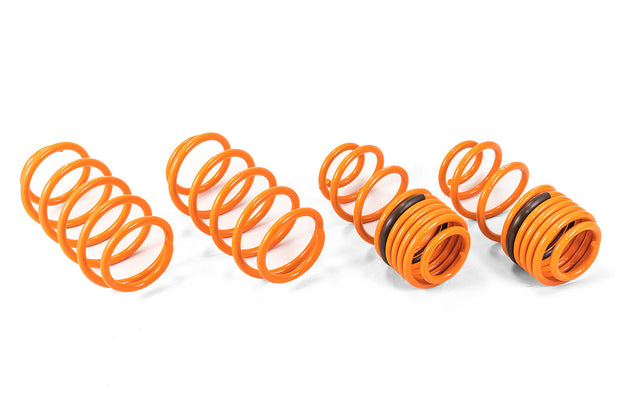 2009-2014 Honda Fit GT-F Lowering Springs - ARK Performance