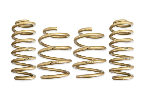 ARK GT-S Lowering Springs for Elantra N. Part Number is LS0715-2123