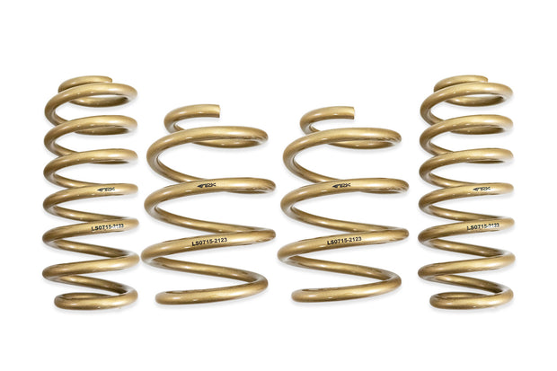 ARK GT-S Lowering Springs for Elantra N. Part Number is LS0715-2123