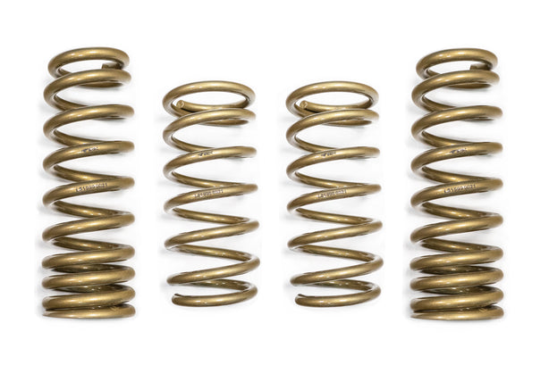 2021-2025 Lexus IS300 | IS350 RWD GT-S Lowering Springs - ARK Performance