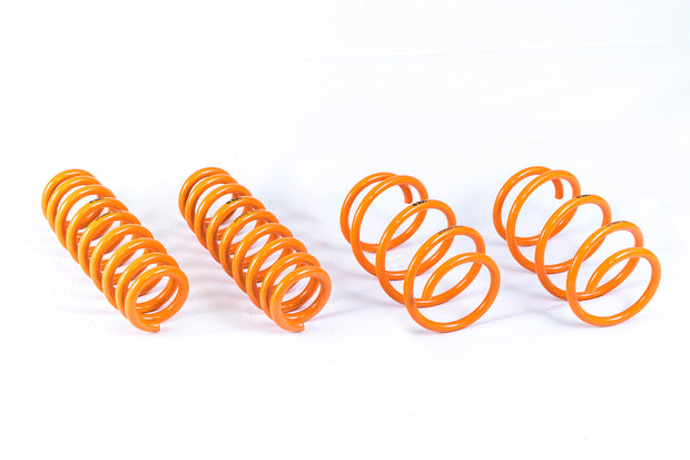 2012-2019 BMW 3 Series | 4 Series GT-F Lowering Springs - ARK Performance