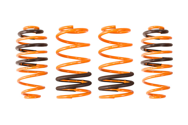 2005-2007 Chevrolet Cobalt GT-F Lowering Springs - ARK Performance