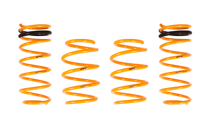 2012-2018 Hyundai Veloster GT-F Lowering Springs - ARK Performance