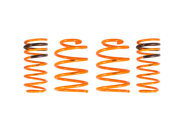 2010-2013 Kia Forte Koup | Hatch | Sedan GT-F Lowering Springs - ARK Performance