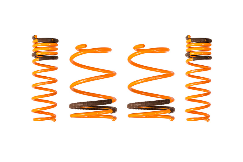 2008-2016 Mitsubishi EVO X GT-F Lowering Springs - ARK Performance