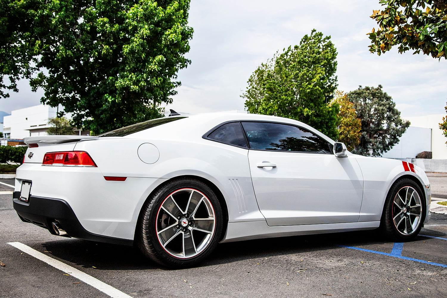 2010-2015 Chevrolet Camaro GT-S Lowering Springs - ARK Performance