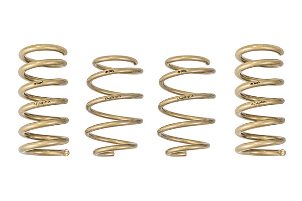 2015-2021 Ford Mustang GT-S Lowering Springs - ARK Performance
