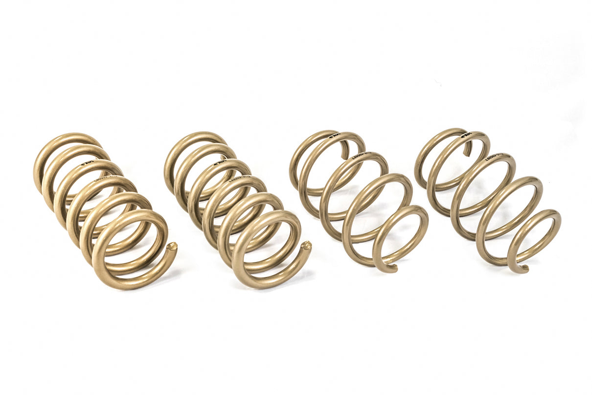 2015-2021 Ford Mustang GT-S Lowering Springs - ARK Performance