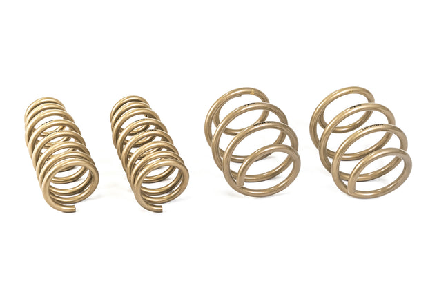 2010-2016 Hyundai Genesis Coupe GT-S Lowering Springs - ARK Performance