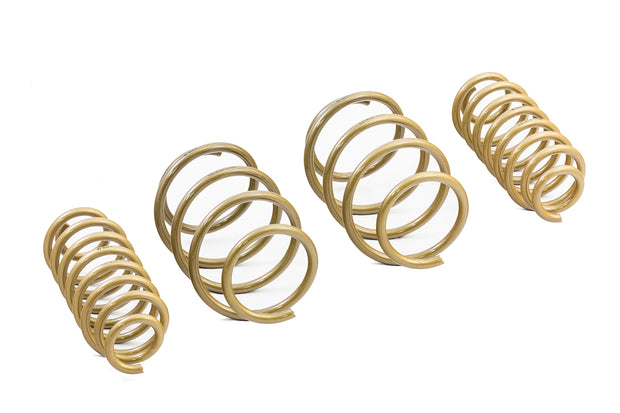 2018-2021 Toyota Camry GT-S Lowering Springs (Overstock Item) - ARK Performance